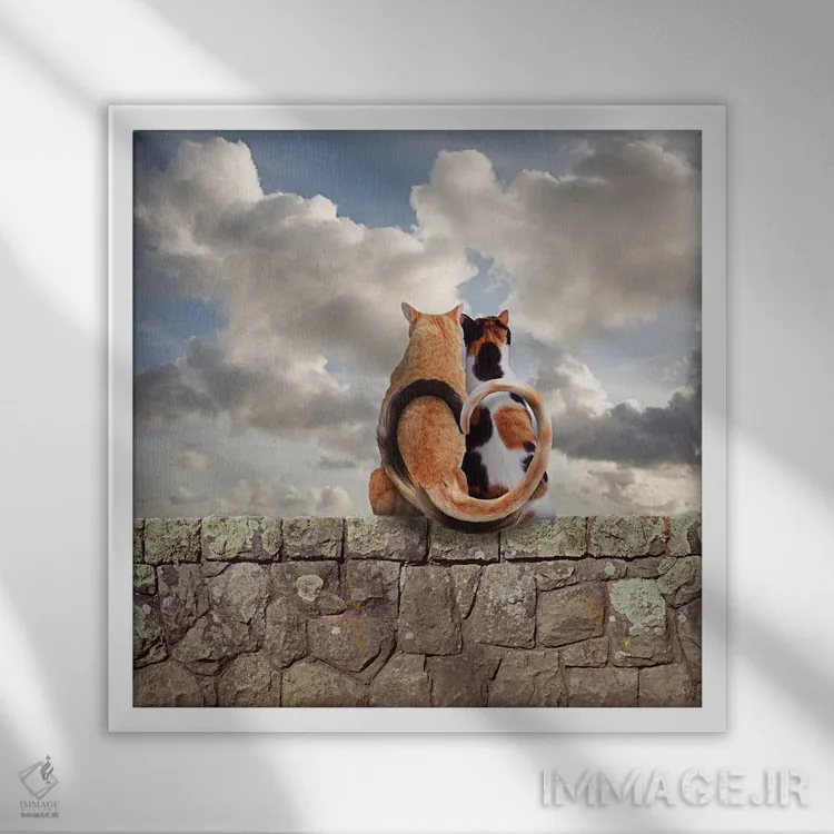 تابلو دکوراتیو عشق گربه ای کامل اثر لوند روزر - نمای قابدار سفید