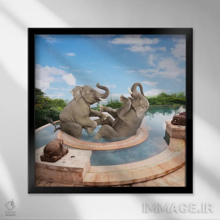 تابلو دکوراتیو اسپا برای فیل اثر لوند روزر - نمای قابدار مشکی