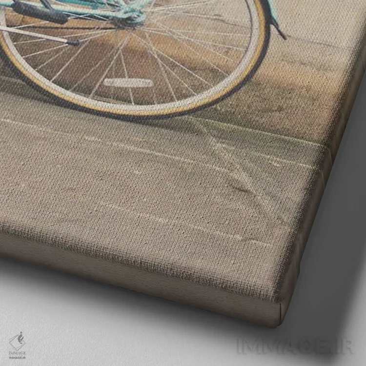 تابلو دکوراتیو دوچرخه اثر لورا ایوانز - نمای نزدیک بافت بوم