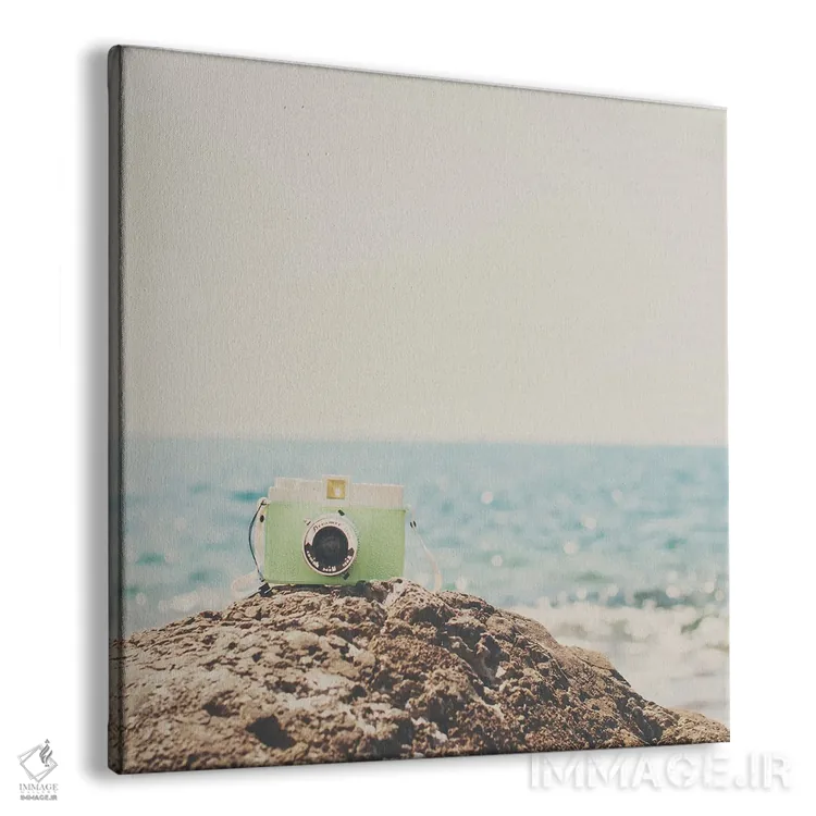 تابلو دکوراتیو رویابین اثر لورا ایوانز - نمای پرسپکتیو محصول