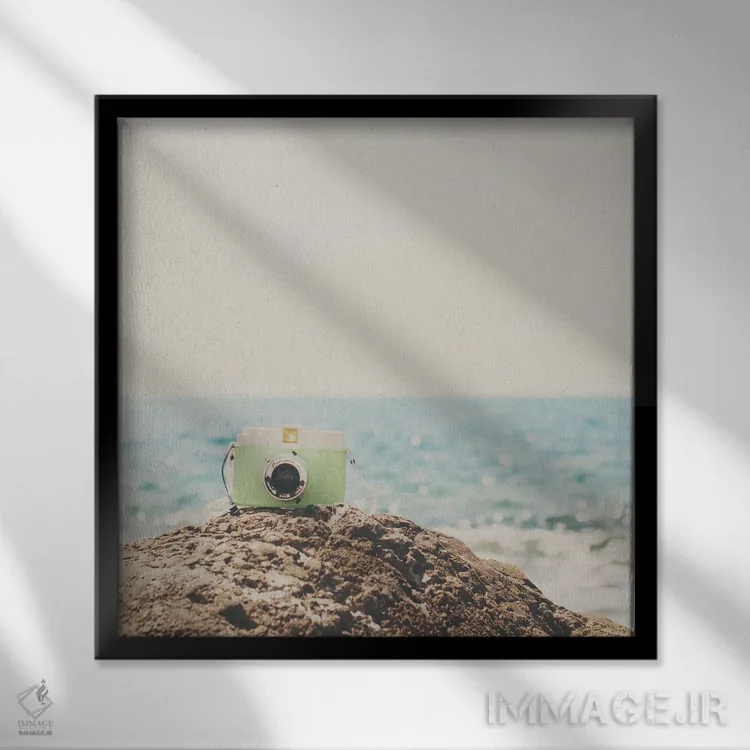 تابلو دکوراتیو رویابین اثر لورا ایوانز - نمای قابدار مشکی