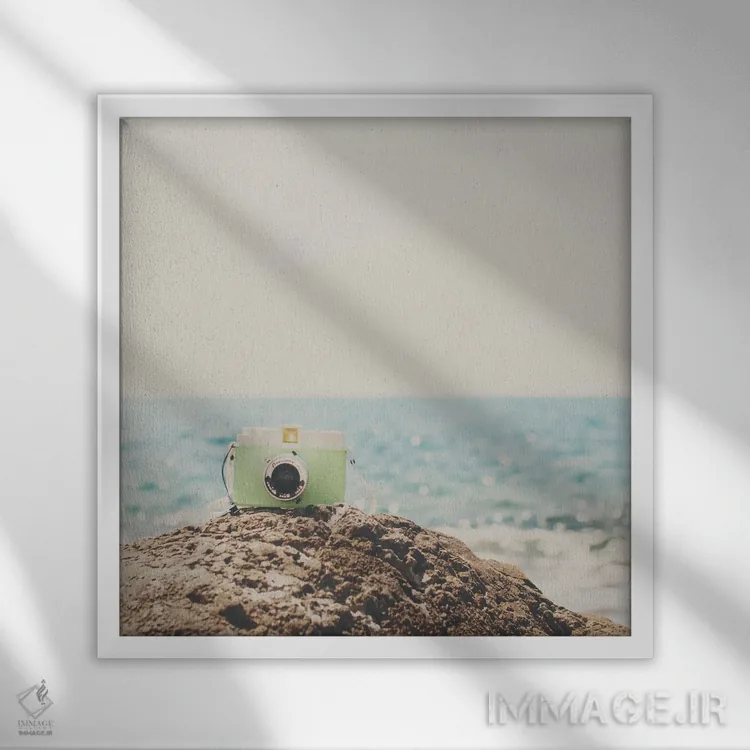 تابلو دکوراتیو رویابین اثر لورا ایوانز - نمای قابدار سفید