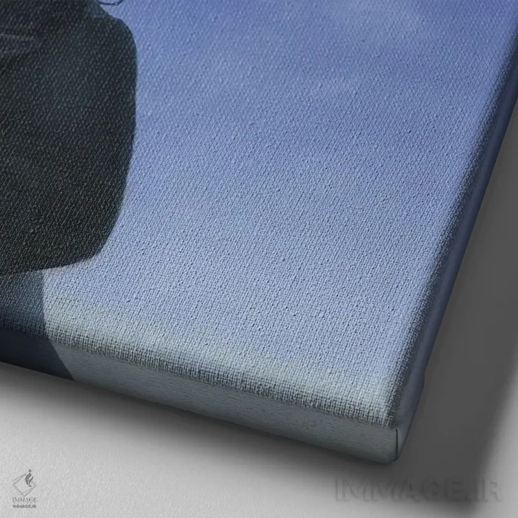 تابلو دکوراتیو هلندی شیک پوش اثر لیزا فالکن سترن - نمای نزدیک بافت بوم