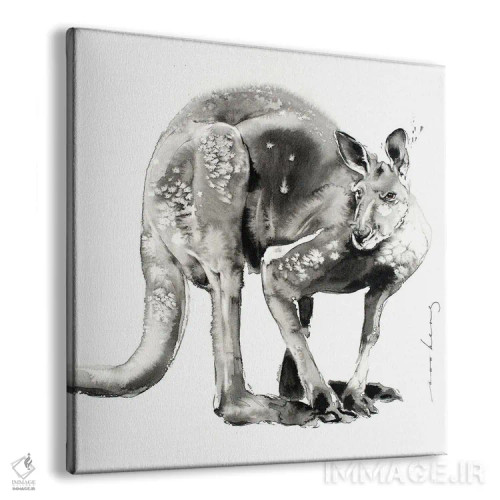 تابلو دکوراتیو پرش استرالیایی II اثر سو بنگ لیم - نمای پرسپکتیو محصول