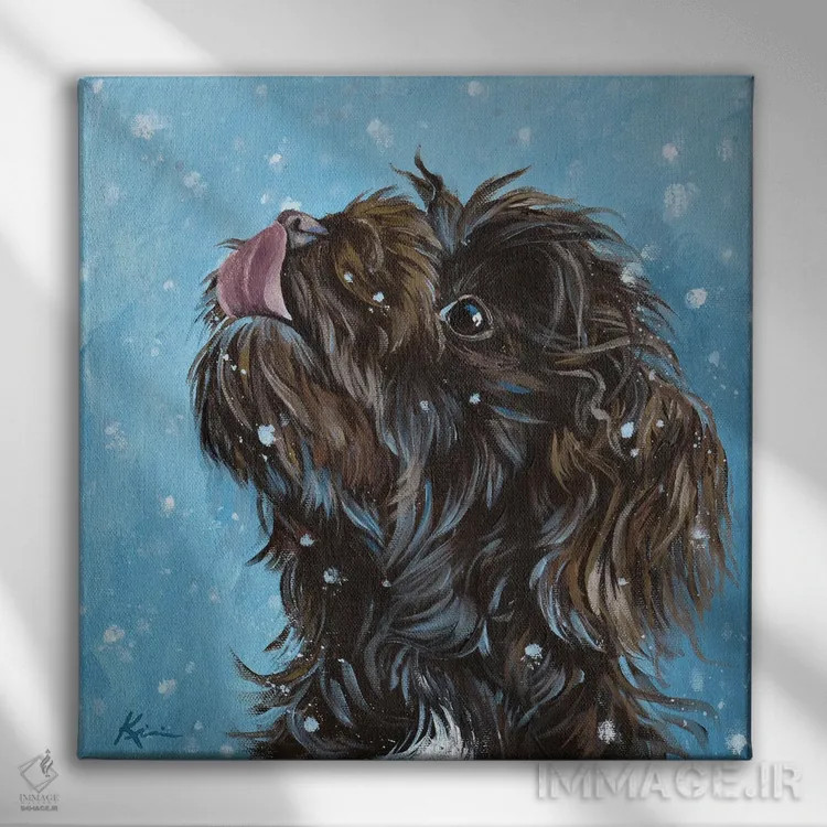 تابلو دکوراتیو هاوانیز در حال گرفتن دانه های برف اثر لینزی کیوی - نمای روبهرو روی دیوار