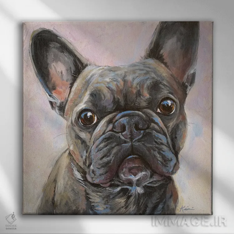 تابلو دکوراتیو بولداگ فرانسوی اثر لینزی کیوی - نمای روبهرو روی دیوار
