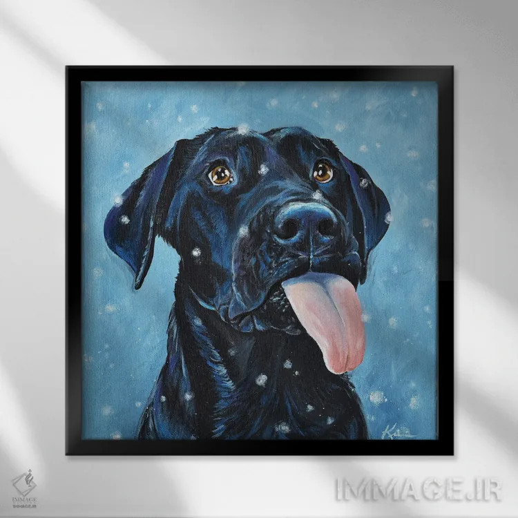 تابلو دکوراتیو لابرادور سیاه در حال گرفتن دانه های برف اثر لینزی کیوی - نمای قابدار مشکی