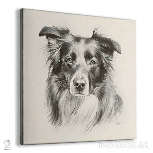 تابلو دکوراتیو طرح اسکچ سگ شپرد استرالیایی اثر لینزی کیوی - نمای پرسپکتیو محصول