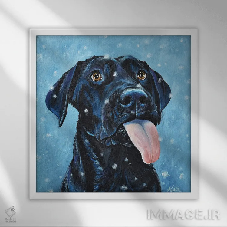 تابلو دکوراتیو لابرادور سیاه در حال گرفتن دانه های برف اثر لینزی کیوی - نمای قابدار سفید