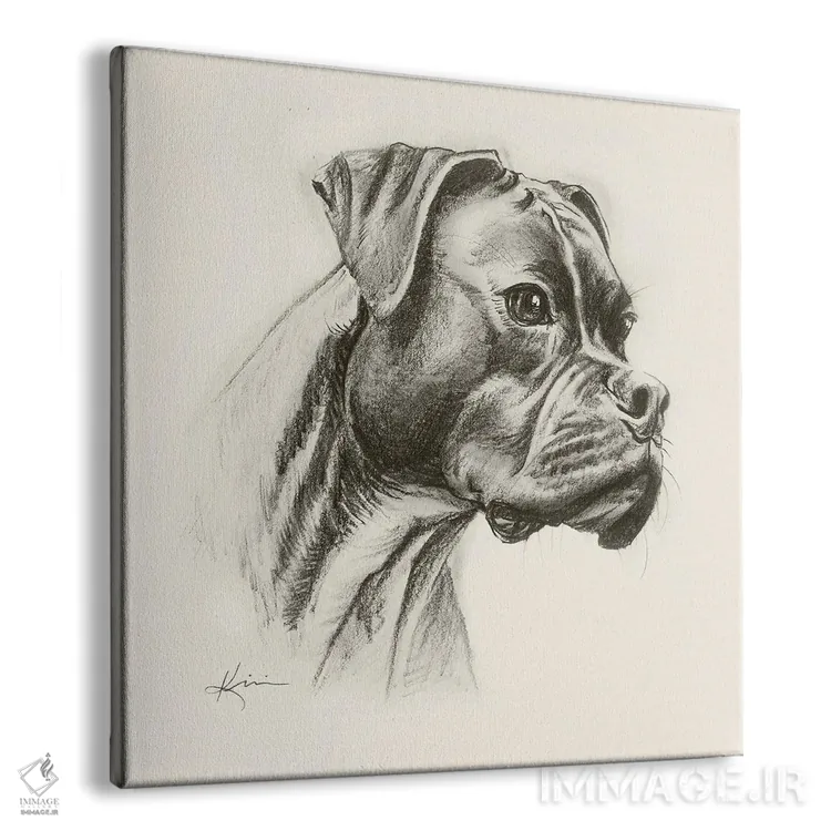 تابلو دکوراتیو طرح اسکچ سگ باکسر اثر لینزی کیوی - نمای پرسپکتیو محصول