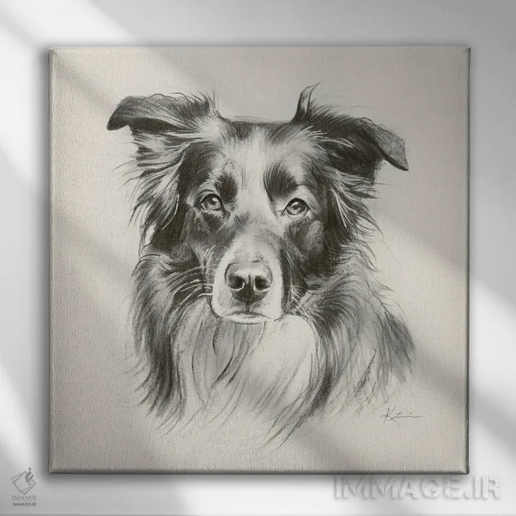تابلو دکوراتیو طرح اسکچ سگ شپرد استرالیایی اثر لینزی کیوی - نمای روبهرو روی دیوار
