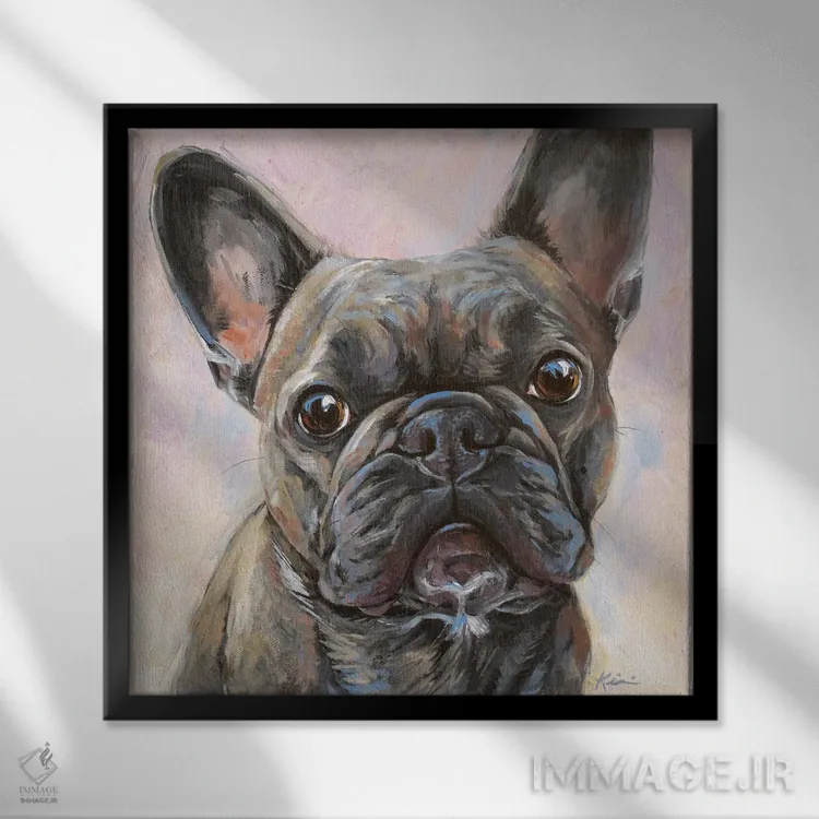 تابلو دکوراتیو بولداگ فرانسوی اثر لینزی کیوی - نمای قابدار مشکی