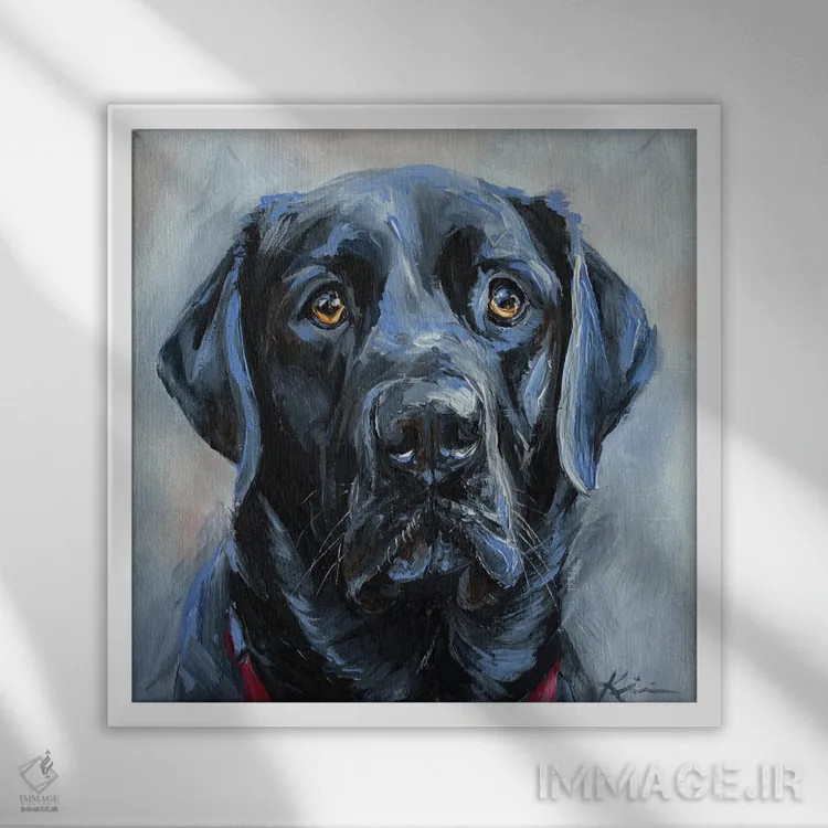 تابلو دکوراتیو لابرادور سیاه ۲ اثر لینزی کیوی - نمای قابدار سفید