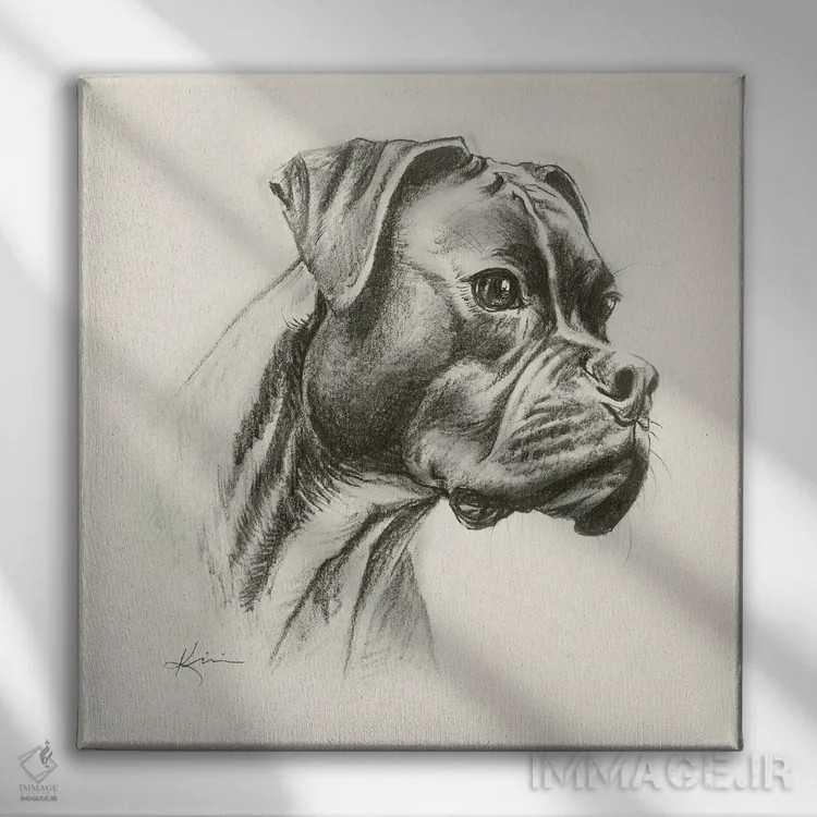 تابلو دکوراتیو طرح اسکچ سگ باکسر اثر لینزی کیوی - نمای روبهرو روی دیوار