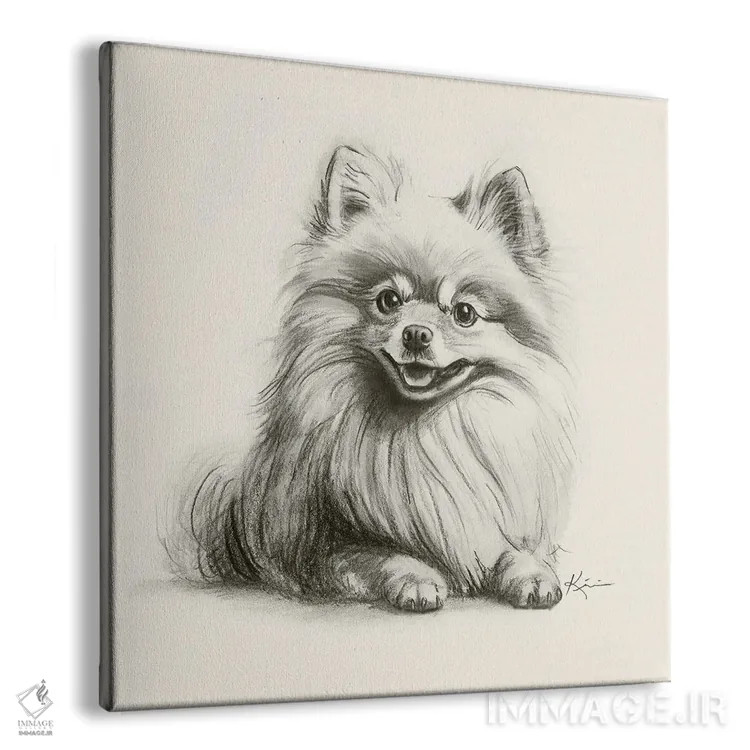 تابلو دکوراتیو طرح اسکچ پامرانین اثر لینزی کیوی - نمای پرسپکتیو محصول