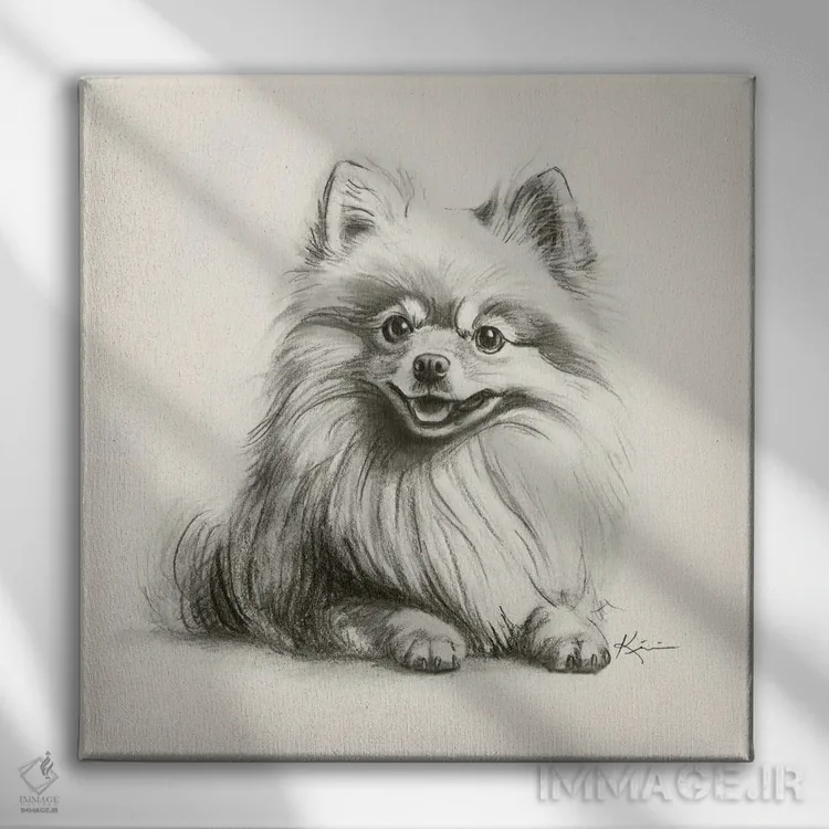 تابلو دکوراتیو طرح اسکچ پامرانین اثر لینزی کیوی - نمای روبهرو روی دیوار