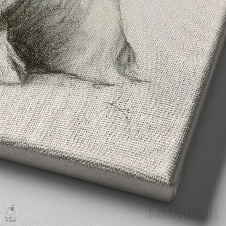 تابلو دکوراتیو طرح اسکچ شی هتزو اثر لینزی کیوی - نمای نزدیک بافت بوم