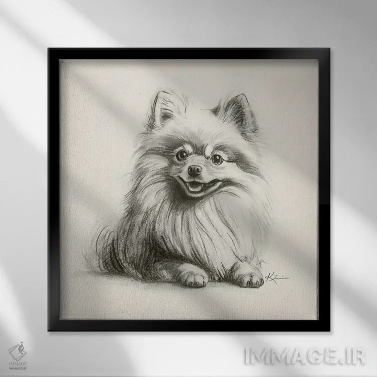 تابلو دکوراتیو طرح اسکچ پامرانین اثر لینزی کیوی - نمای قابدار مشکی