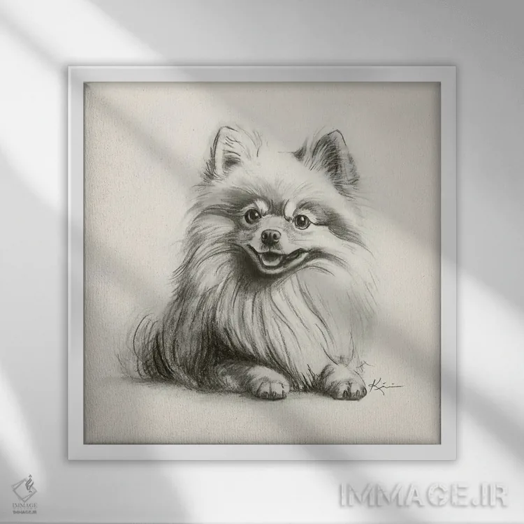 تابلو دکوراتیو طرح اسکچ پامرانین اثر لینزی کیوی - نمای قابدار سفید