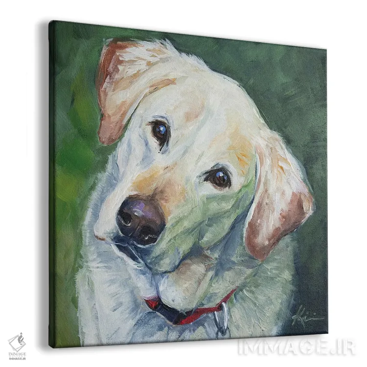 تابلو دکوراتیو لابرادور زرد اثر لینزی کیوی - نمای پرسپکتیو محصول