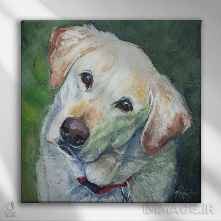 تابلو دکوراتیو لابرادور زرد اثر لینزی کیوی - نمای روبهرو روی دیوار