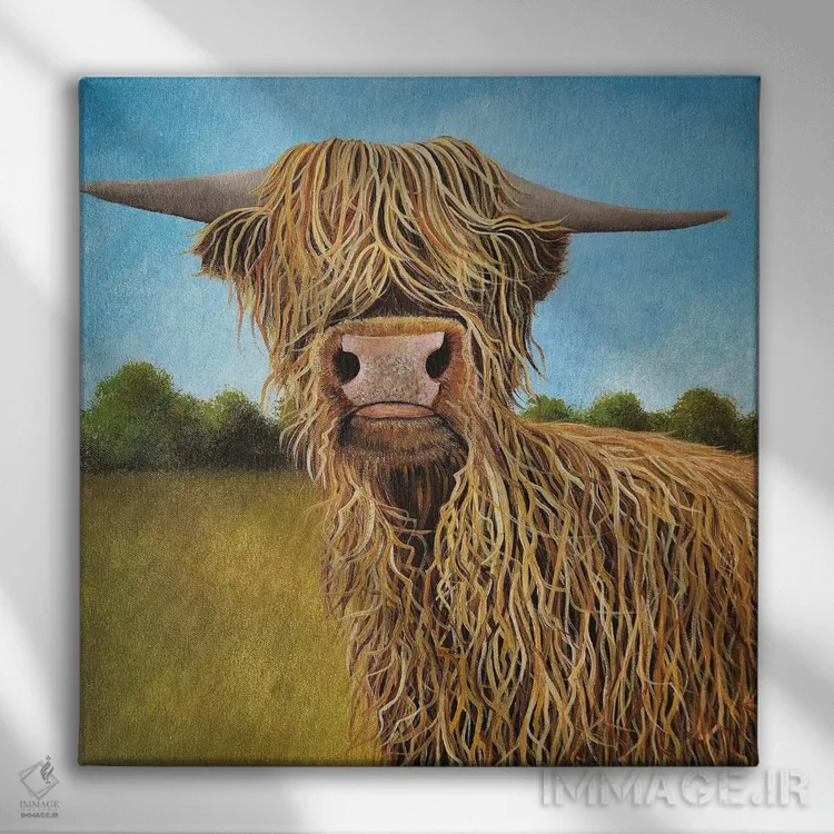 تابلو دکوراتیو گاو اسکاتلندی اثر شریل میلر لکی - نمای روبهرو روی دیوار