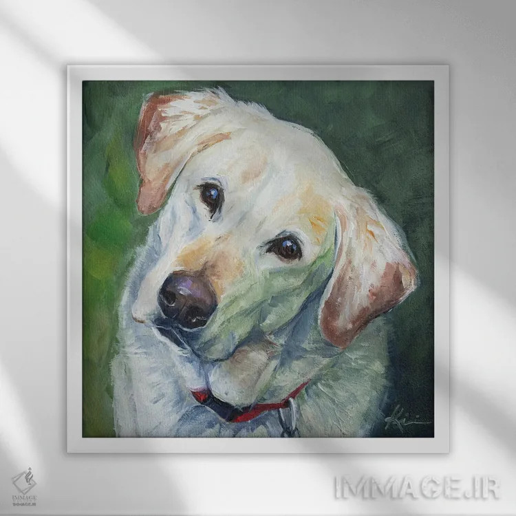 تابلو دکوراتیو لابرادور زرد اثر لینزی کیوی - نمای قابدار سفید