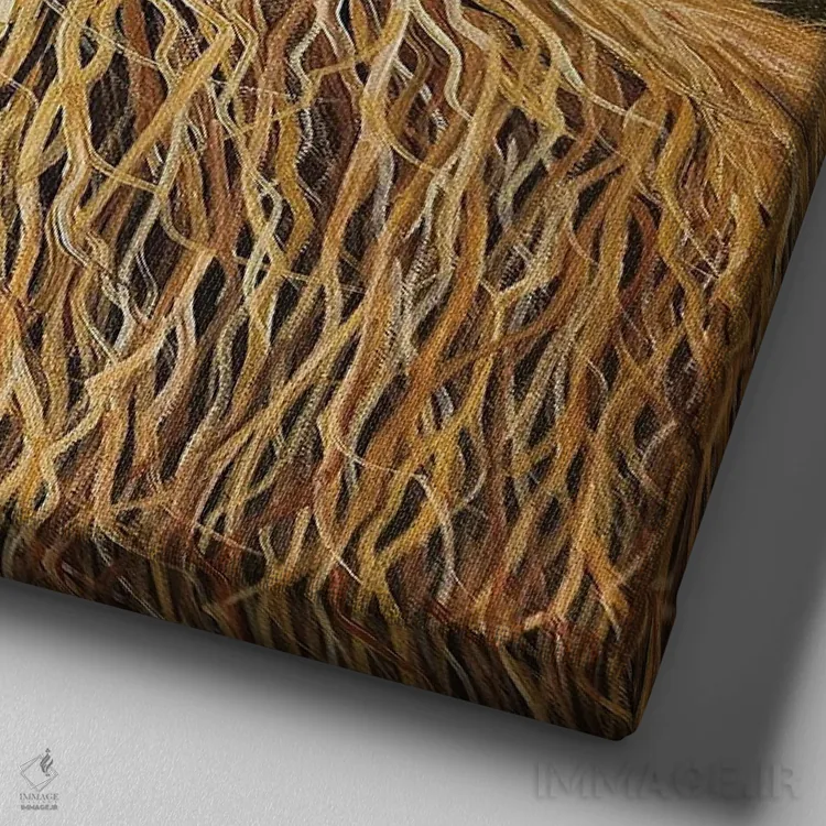 تابلو دکوراتیو گاو اسکاتلندی اثر شریل میلر لکی - نمای نزدیک بافت بوم