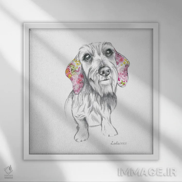 تابلو دکوراتیو پرتره سگ داشهوند مو سیمی اثر لولا دیزاین - نمای قابدار سفید