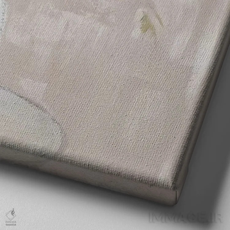 تابلو دکوراتیو "گون های خنثی" اثر لینی لورث - نمای نزدیک بافت بوم