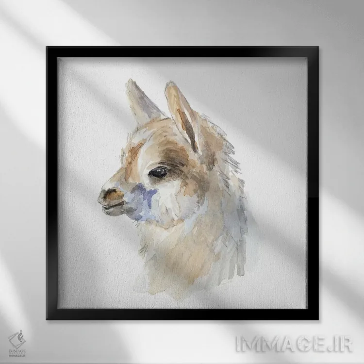 تابلو دکوراتیو "پرتره جانبی لاما" اثر لینی لورث - نمای قابدار مشکی