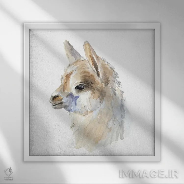 تابلو دکوراتیو "پرتره جانبی لاما" اثر لینی لورث - نمای قابدار سفید