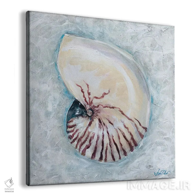 تابلو دکوراتیو "ناوتیلوس" اثر لیندا اولسن - نمای پرسپکتیو محصول