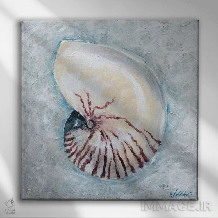 تابلو دکوراتیو "ناوتیلوس" اثر لیندا اولسن - نمای روبهرو روی دیوار