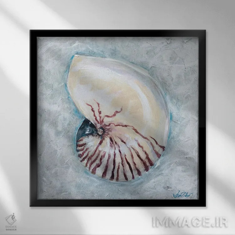 تابلو دکوراتیو "ناوتیلوس" اثر لیندا اولسن - نمای قابدار مشکی