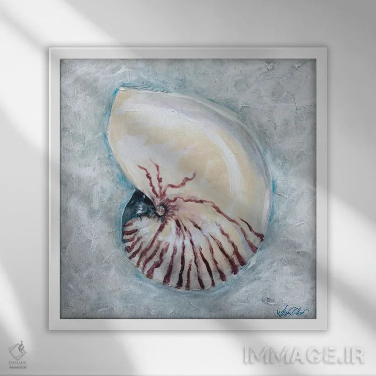 تابلو دکوراتیو "ناوتیلوس" اثر لیندا اولسن - نمای قابدار سفید