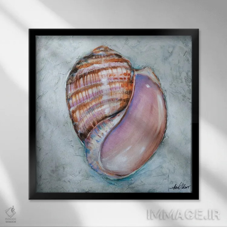تابلو دکوراتیو "خطوط صدف" اثر لیندا اولسن - نمای قابدار مشکی