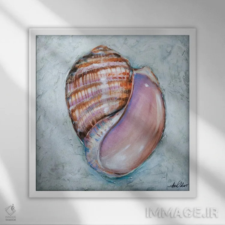 تابلو دکوراتیو "خطوط صدف" اثر لیندا اولسن - نمای قابدار سفید