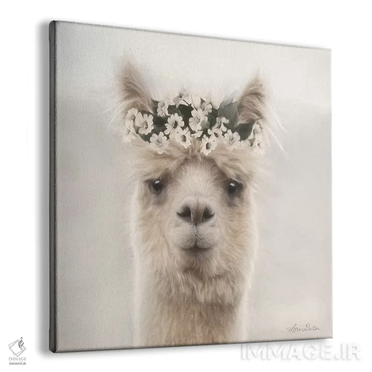 تابلو دکوراتیو "آلپاکا با گل ها" اثر لری دیتر - نمای پرسپکتیو محصول