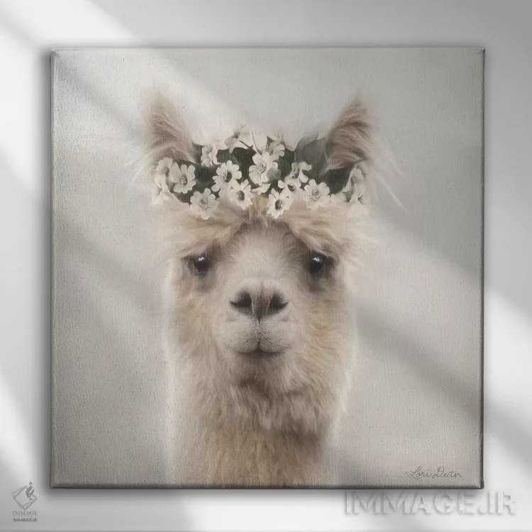 تابلو دکوراتیو "آلپاکا با گل ها" اثر لری دیتر - نمای روبهرو روی دیوار