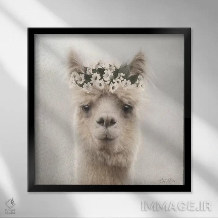تابلو دکوراتیو "آلپاکا با گل ها" اثر لری دیتر - نمای قابدار مشکی