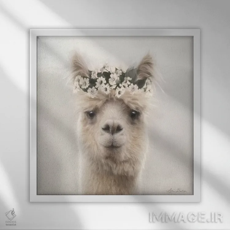 تابلو دکوراتیو "آلپاکا با گل ها" اثر لری دیتر - نمای قابدار سفید