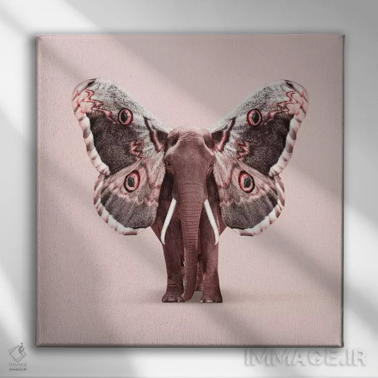تابلو دکوراتیو "فیل بال دار " اثر یوناس لوس - نمای روبهرو روی دیوار