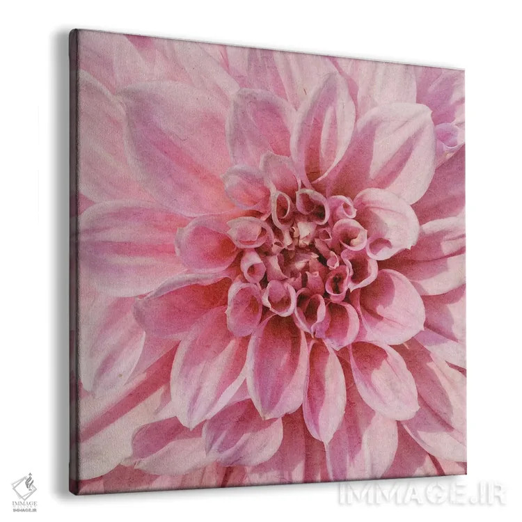 تابلو دکوراتیو "گل دیواری ۷" اثر آلونزو ساندرز - نمای پرسپکتیو محصول