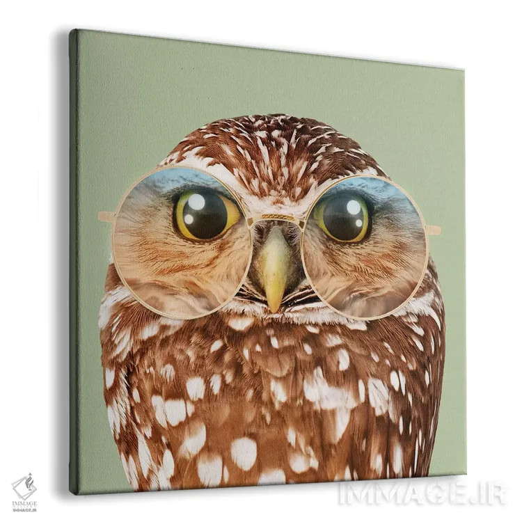 تابلو دکوراتیو "جغد با عینک" اثر یوناس لوس - نمای پرسپکتیو محصول