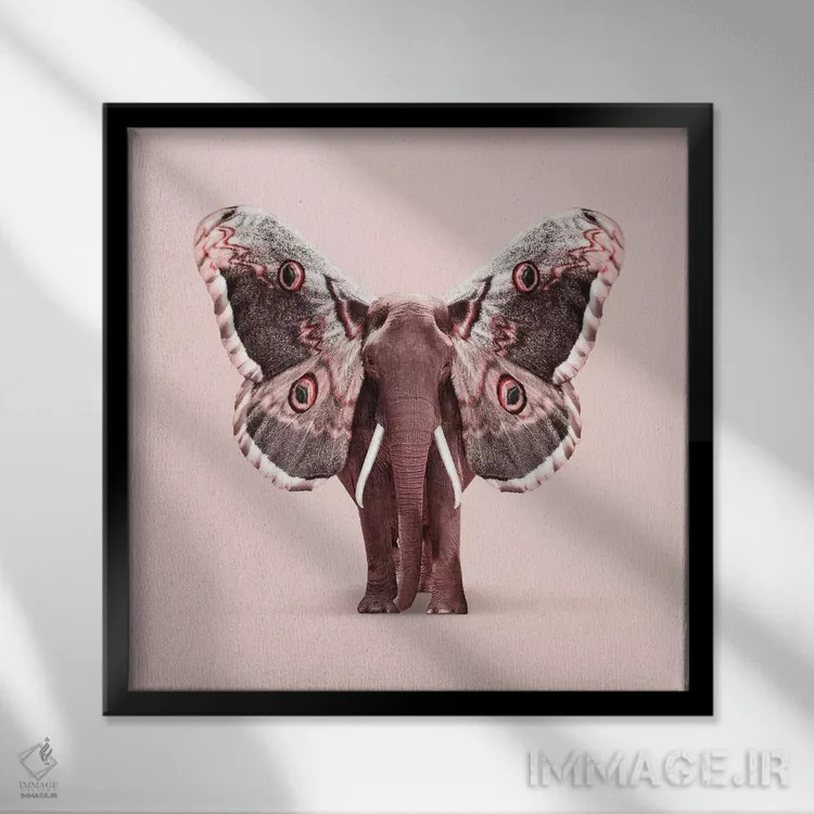 تابلو دکوراتیو "فیل بال دار " اثر یوناس لوس - نمای قابدار مشکی