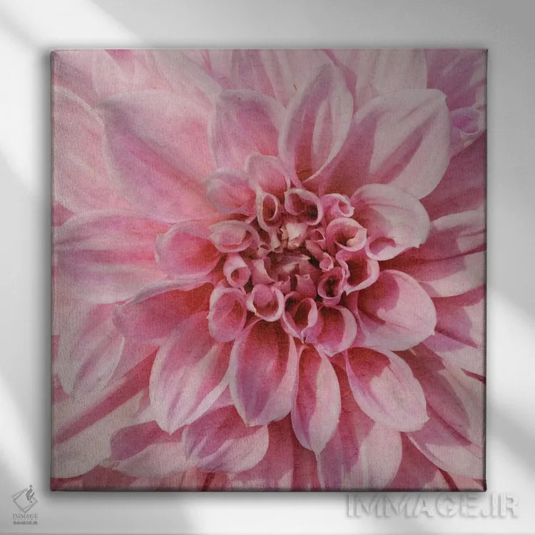 تابلو دکوراتیو "گل دیواری ۷" اثر آلونزو ساندرز - نمای روبهرو روی دیوار