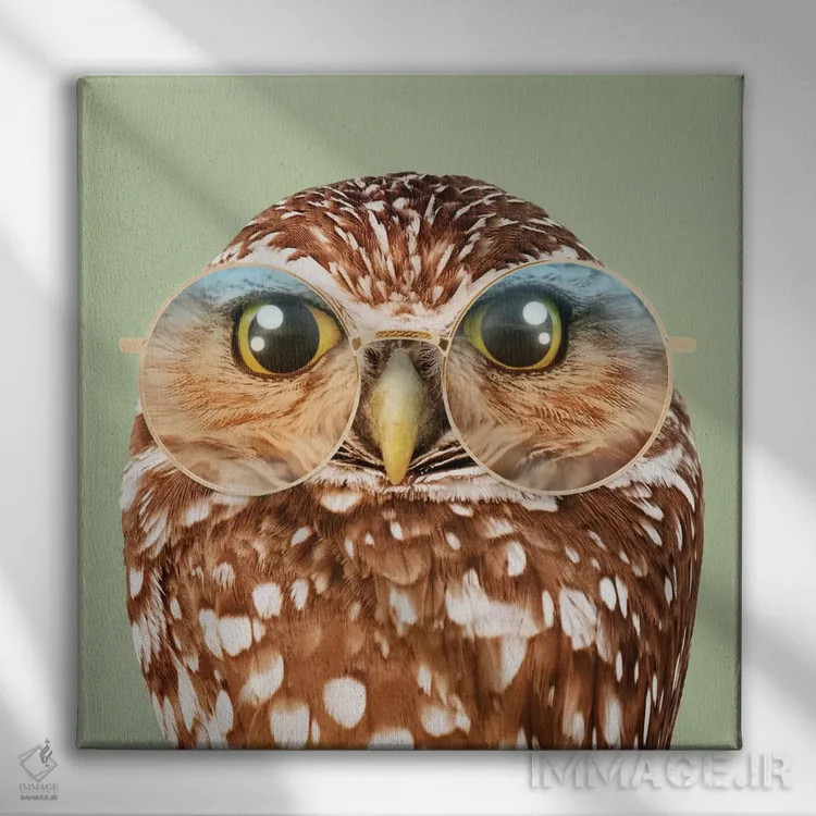 تابلو دکوراتیو "جغد با عینک" اثر یوناس لوس - نمای روبهرو روی دیوار