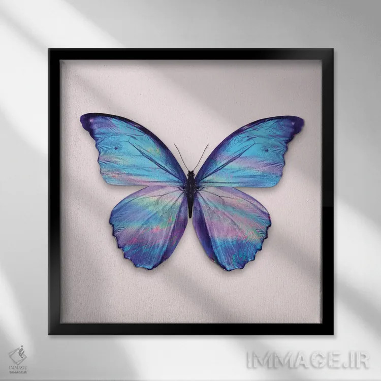 تابلو دکوراتیو "پروانه هولوگرافیک" اثر یوناس لوس - نمای قابدار مشکی