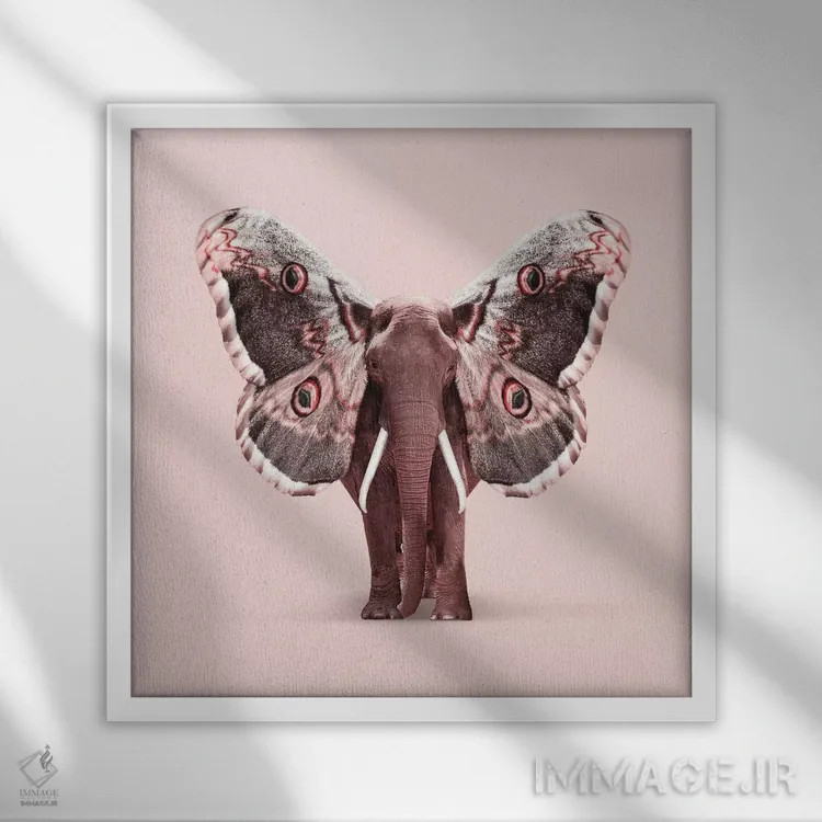 تابلو دکوراتیو "فیل بال دار " اثر یوناس لوس - نمای قابدار سفید